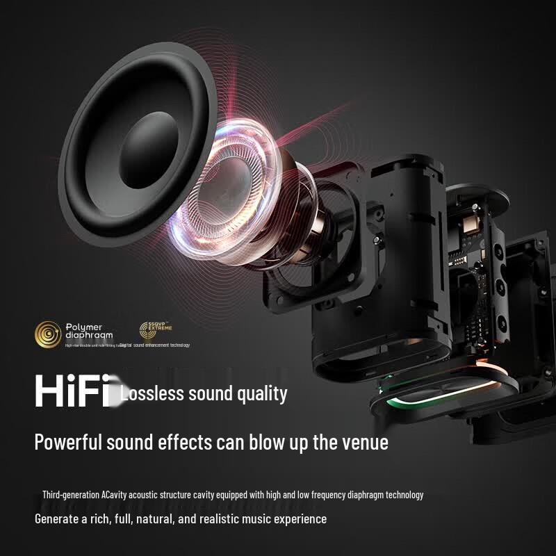 Портативная Bluetooth-колонка SANAG M13S Pro Max (Китайская версия)