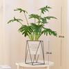 Nordic Artificial Bonsai: Creative Dried Flower Arrangements for Home and Office Decor