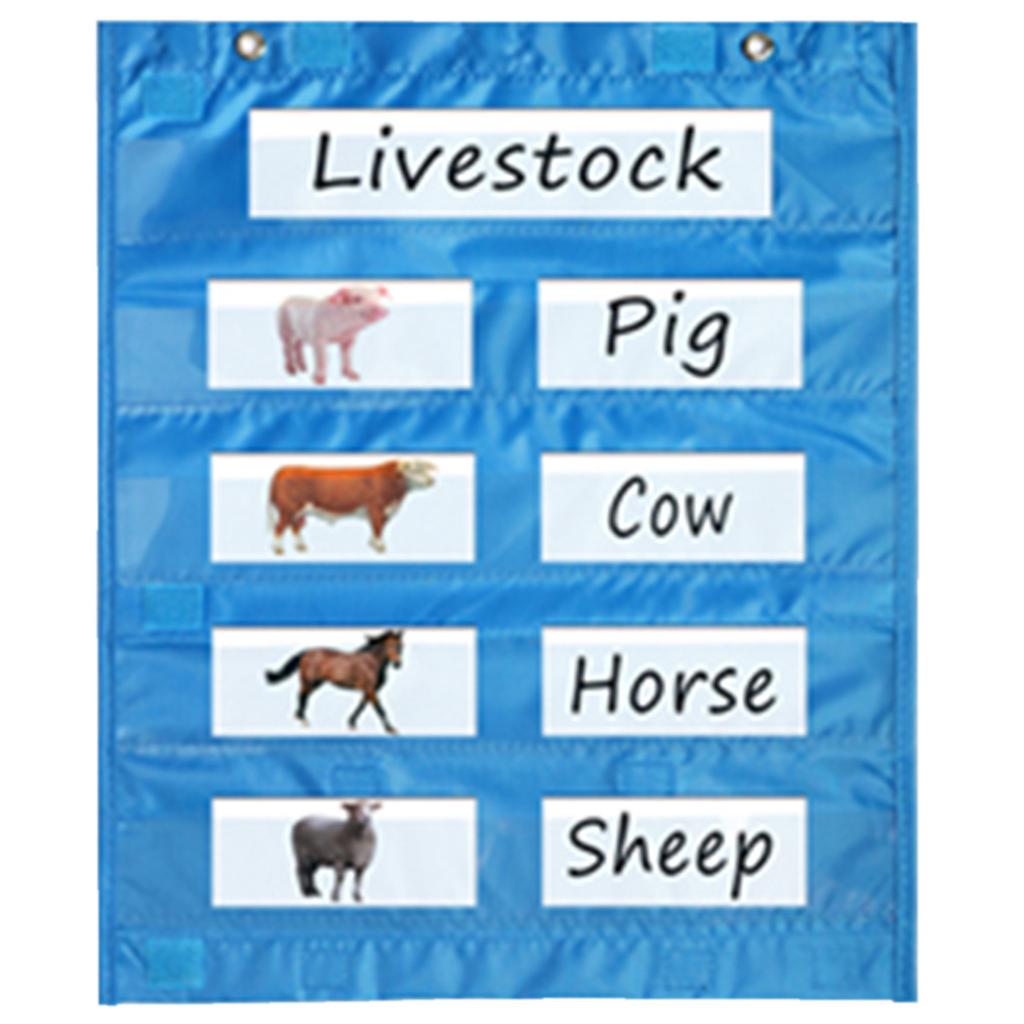 Magnetic Classroom Pocket Chart for Whiteboard Magnetic Pocket Chart for Daily Schedule Activity Class Demonstrations