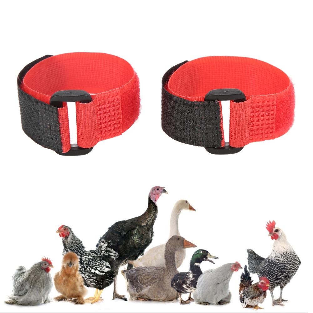 2pcs Lightweight Chicken Collar Durable Chicken Neckband Breathable Rooster Collar Farm Use