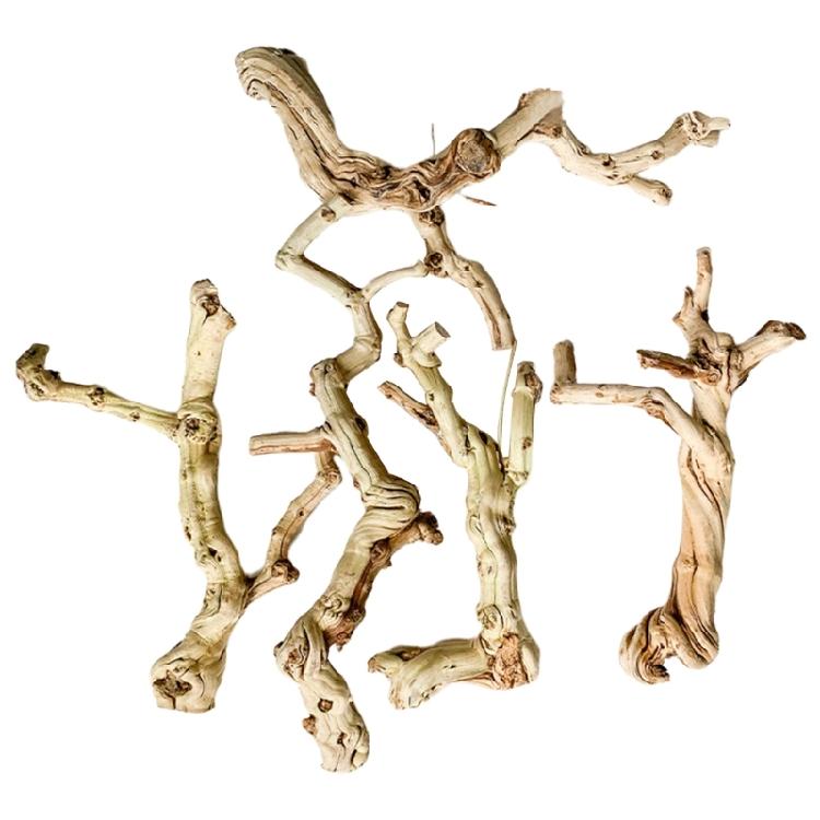 Reptiles Trunk Cave Natural Aesthetic Breeding Driftwood for Reptiles Wood Climbing Habitats Supplies