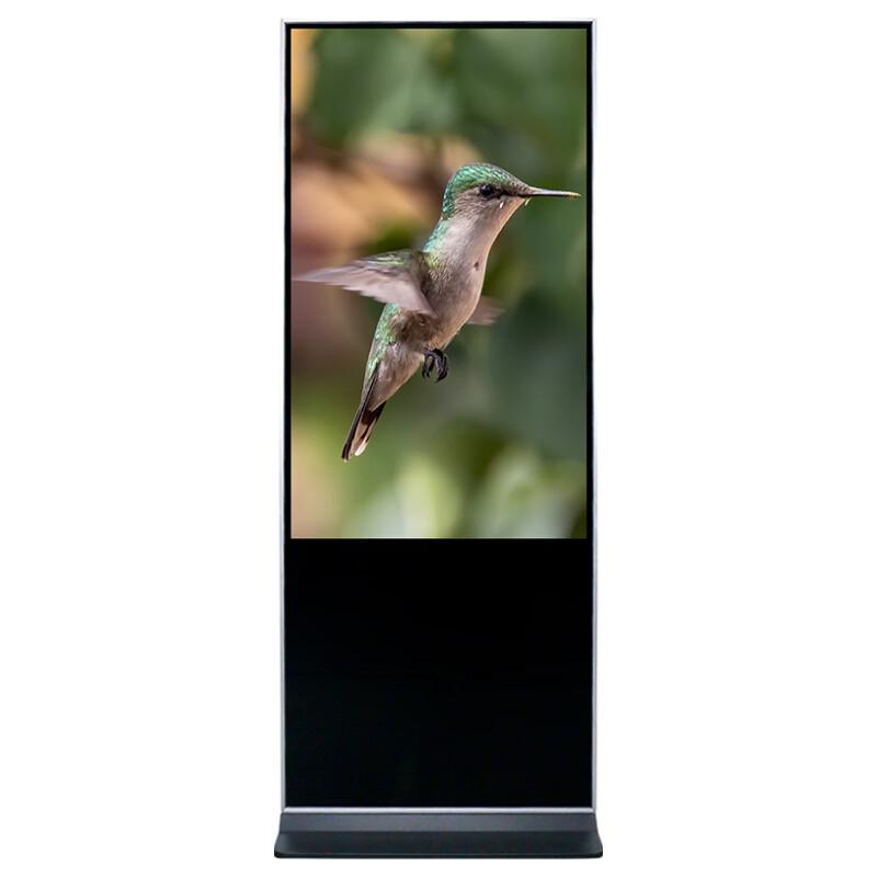CHANGYU 55-inch Touchscreen Digital Signage (CN version)