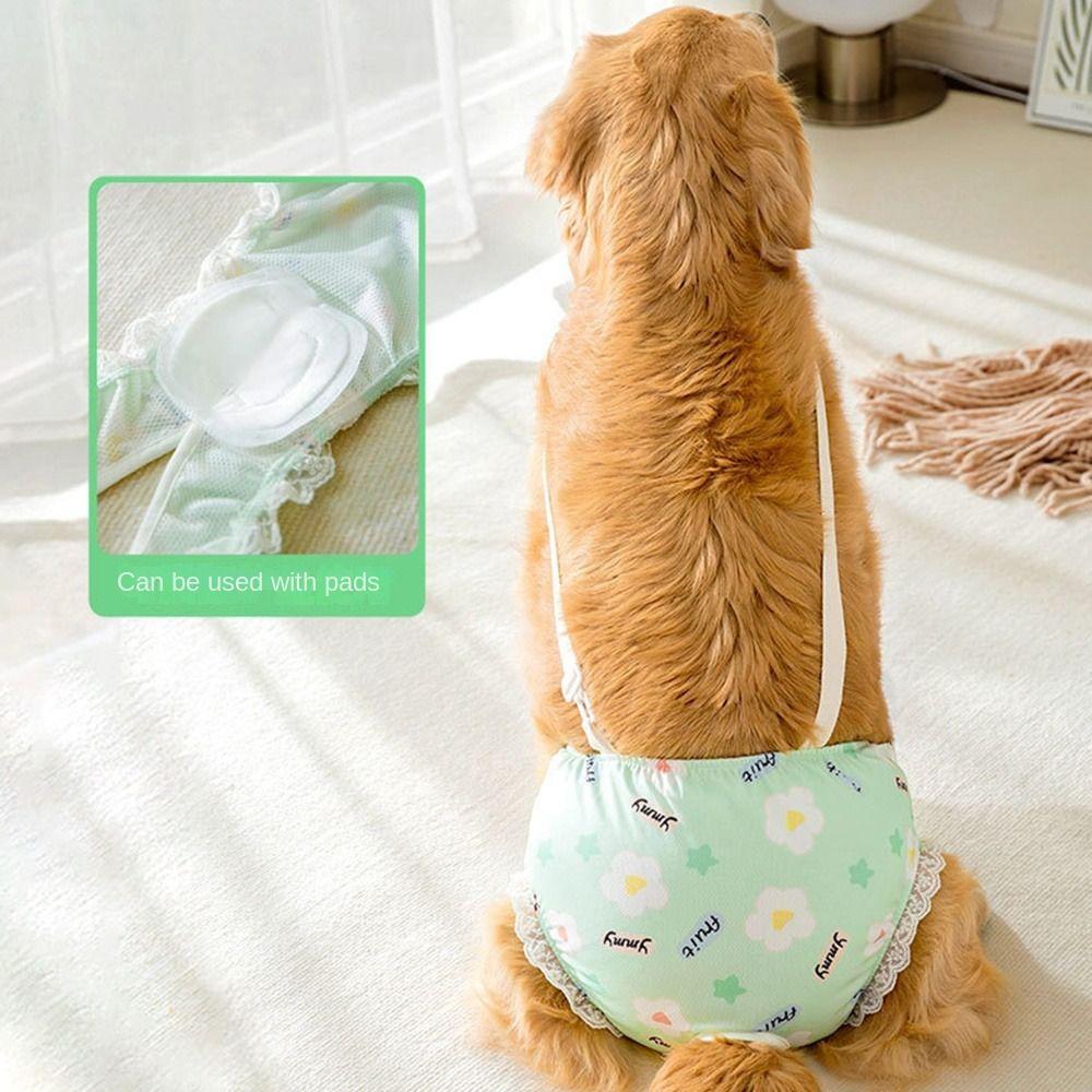 С бретельками Женские гигиенические трусы для домашних животных Дышащие Подгузники для безопасности крупных собак Аксессуары для собак