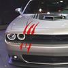 1PC Car Headlight Scratch Stripe Stricker Decal Sticker Claw Stripe Slash Truck Vinyl Stricker