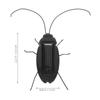 Cockroach Simulation Insect Toy Grasshopper Science Education Toy Funny Puzzle Toy  Children