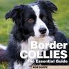 Книга Border Collies The Essential Guide by UNKNOWN - Paperback