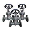 Yuhangji Cast Steel Flange Gate Valve