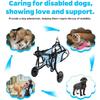 Инвалидная коляска для собак на задние лапы, Тележка-инвалидная коляска для собак, Инвалидные коляски для собак/кошек с ограниченными задними лапами, Средства для передвижения для мелких животных с задними конечностями,