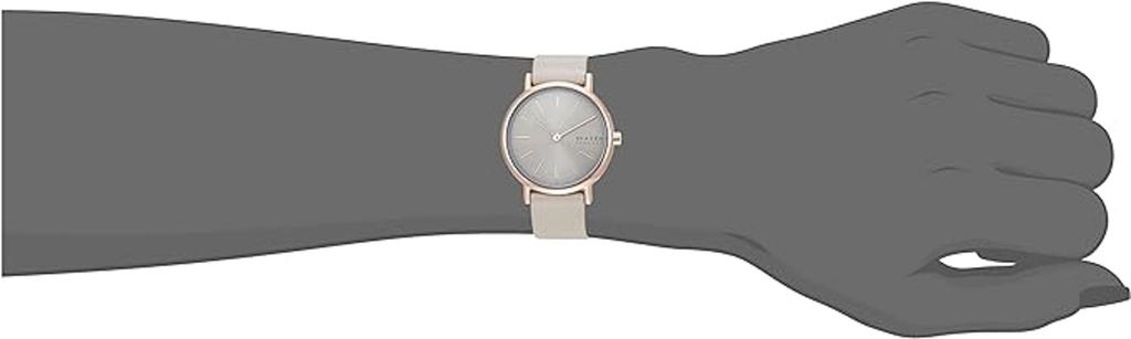 Женские часы Skagen SKW3060, Серые [Параллельный импорт]