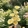 3pcs Flower Shape Bee Butterfly Water Dispenser Ceramic Bee Watering Station  Outdoor Use