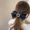 Large Size Mesh Hair Clip Korean Style Crystal Hair Clip French Bow Hair Clip  Girl