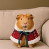 Windproof Hamster Cloak Warm Pet Cosplay Clothing for Guinea Pigs Rabbit Parrot