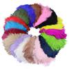 10Pcs Natural White Black Ostrich Feathers for Crafts 15-35cm Wedding Party Home Decoration Table Centerpieces Carnival Plumas