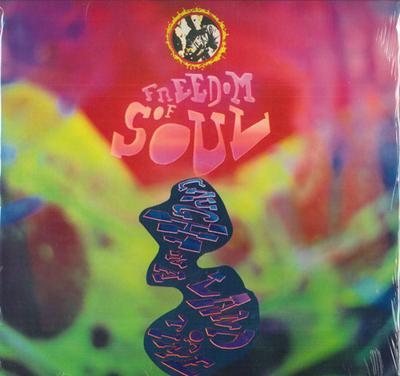 LP Пластинка FREEDOM OF SOUL - Caught In A Land Of Time E47801 Epic, Word 1991 США Рэп и Хип-хоп/R&B