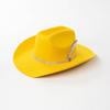 Europe, America autumn and winter fashion leisure hot-selling rhinestone metal feather big eaves warped edge wool cowboy hat felt hat tide