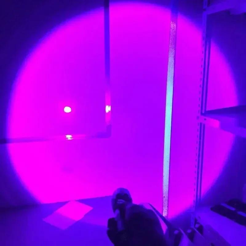395nm UV Flashlight Black Light,USB Rechargeable Portable Mini Ultraviolet Torch for Pet Urine Stains Detection,Scorpion Hunting
