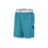Jordan Шорты для баскетбола мужские Charlotte Hornets Team ICON Edition 2020 NBA Сине-зеленые CN8083-443
