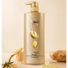 Selsun Ginger Anti-Breakage Shampoo