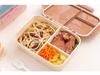 Portable Flip-Top Compartmentalized Microwaveable Bento Lunch Box