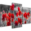 Three Piece Picture Canvas Print Red Poppies Plants