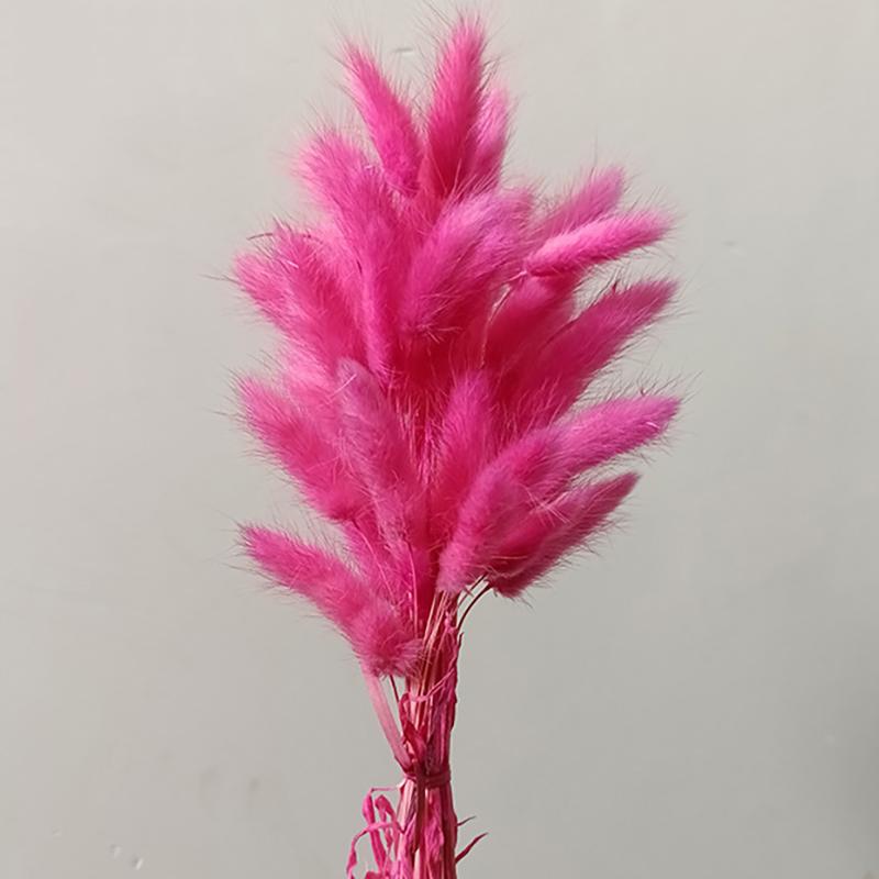 50 шт., букет из сухоцветов с изображением кролика и хвоста кролика, декор для свадебной вечеринки, пушистые пампасы, рождественская цветочная композиция своими руками