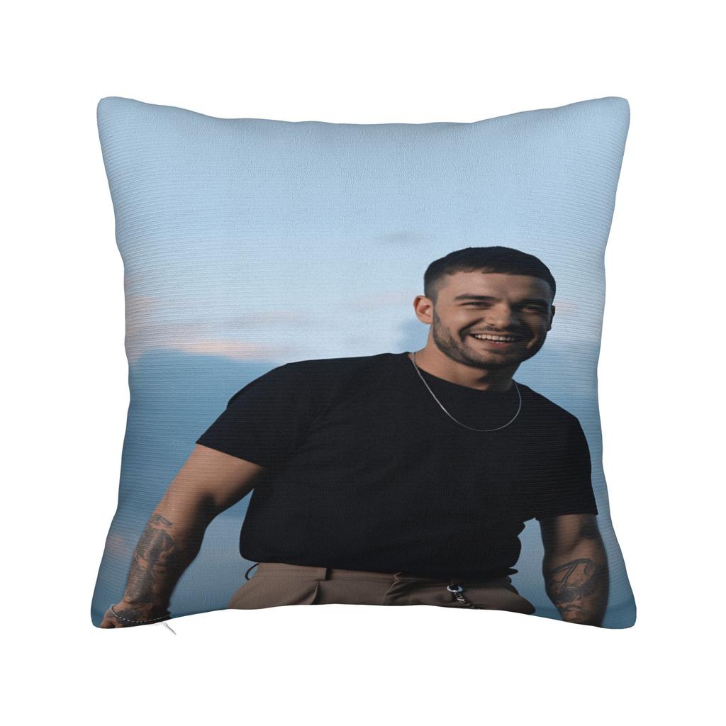 L-Liam Payne Singer Pillow Case Soft Pillow Cover Morden Pillowcases For Living Room Chair