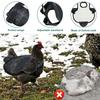 3Pcs Chicken Saddle Waterproof Chicken Back Protector with Adjustable Shoulder Strap Comfortable Chicken Apron Poultry Accessory