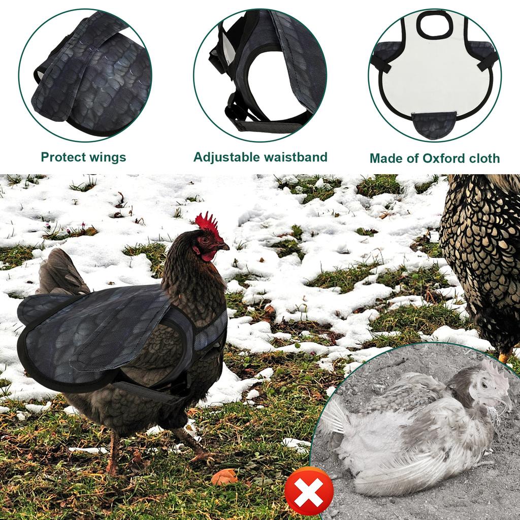 3Pcs Chicken Saddle Waterproof Chicken Back Protector with Adjustable Shoulder Strap Comfortable Chicken Apron Poultry Accessory