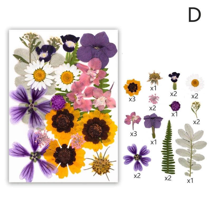 Dried Flower Leaf Kits for Epoxy Jewelry Molds Scrapbooking Supplies and Artistic Soap Making Phone Case Decoration
