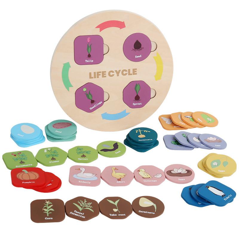 Wooden Educational Child Animal Plant Life Cycle Puzzle For Learning Early