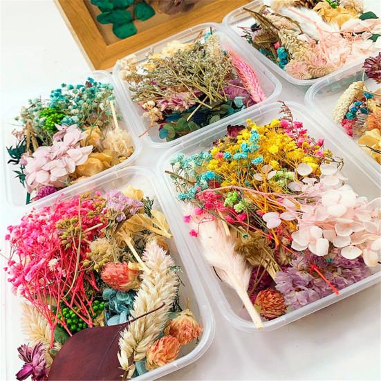 Real Dried Flower Material Plant Specimen Making Scrapbook Crafts Accessories