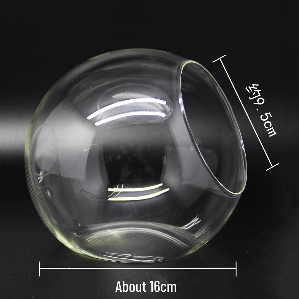 Круглая стеклянная ваза с косым горлышком для суккулентов и микроландшафтов
