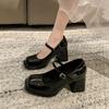 High Heel Mary Jane Shoes Women Spring Shoes Black Buckle Non-Slip Casual Thick Heel Office Ladies Elegant Heels Zapatos Mujer