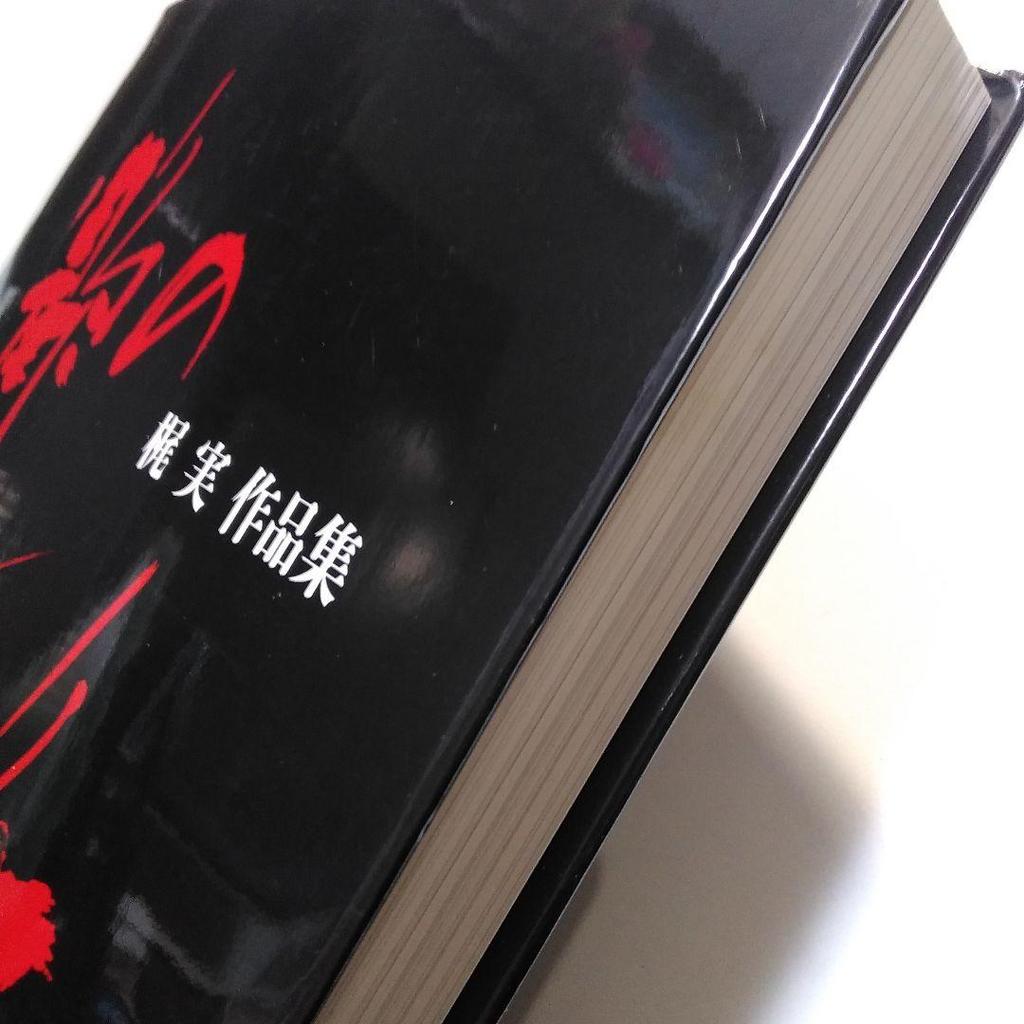 [Б/У] «Портрет элегантности» Коллекция работ Кадзи Минору