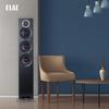 ELAC DFR52 HiFi Floorstanding Speaker System with Tianyi AD-89D (CN version)
