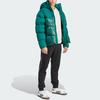 adidas Originals Adicolor Classics Пуховик с капюшоном Мужская верхняя одежда Зеленый IL2566