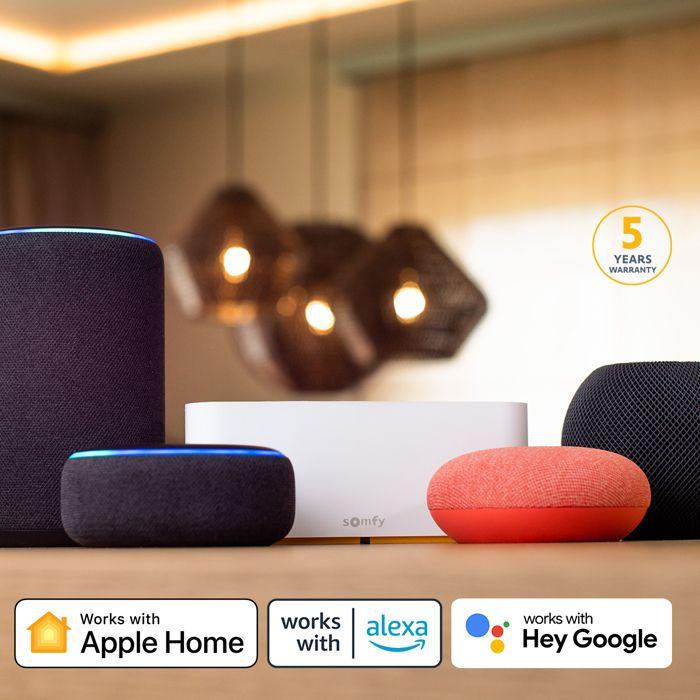 Somfy 1870595 - tahoma switch - commande intelligente pour centraliser et connecter votre logement - compatible io, rts & zigbee 3.0