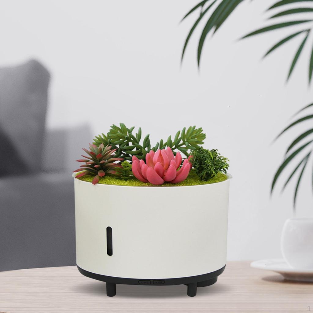 Aroma Diffuser for Essential Oils, Humidifier with Light, Artificial Plant, Music,