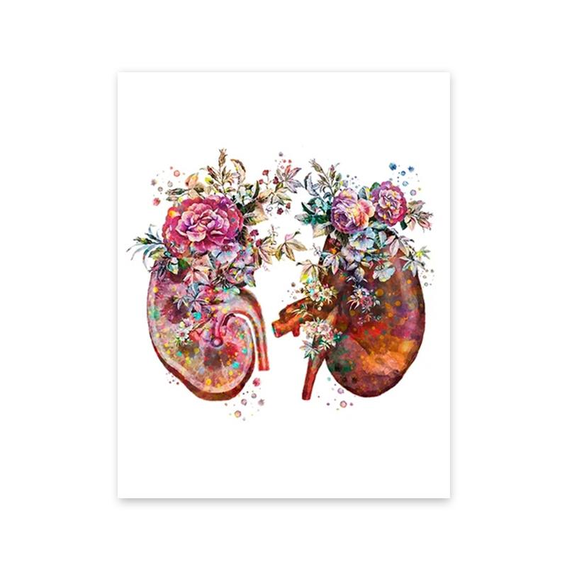 Красочное анатомическое искусство Цветочные органы Сердце Легкие Плакаты и принты Медицинское образование Настенная живопись на холсте Украшение для дома Подарок