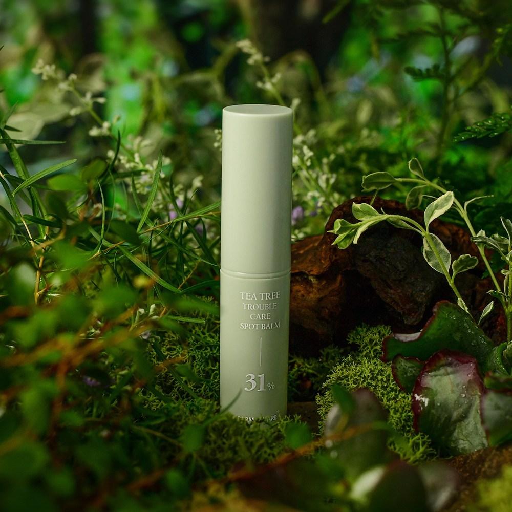 Dermashare Tea Tree Trouble Care Spot Balm, 3.5g, 1 Piece