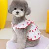 Pet Clothes Small Dog Lady Quiet Dog Clothes Floral Princess Skirt Cat Spring and Summer