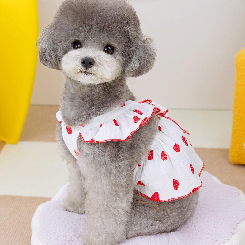 Pet Clothes Small Dog Lady Quiet Dog Clothes Floral Princess Skirt Cat Spring and Summer