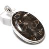 Подвеска из серебра 925 пробы с драгоценным камнем Turtilla Fossil, ручная работа, 2,25 дюйма E1B62
