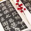 Selected Masterpieces of Chinese Calligraphy: Longmen Twenty Inscriptions