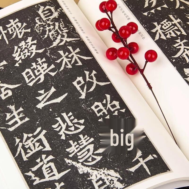 Selected Masterpieces of Chinese Calligraphy: Longmen Twenty Inscriptions