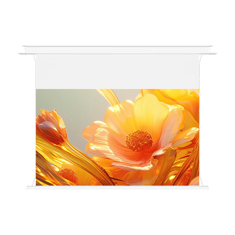 Pang Juren Smart Electric Projection Screen