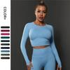 Woman Long Sleeve Yoga Top Seamless Gym Running T Shirt Slim Elastic Fitness Sports Crop Top