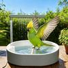 Bird Bath Circulation Pump For Parrots And Canaries With Automatic Rain Shower System