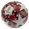 UEFA Champions League Звездный футбол