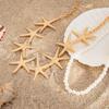 Beach Style Pearl Shell Necklace Elegant Exaggerate Metal Necklace Starfish Necklace  Summer